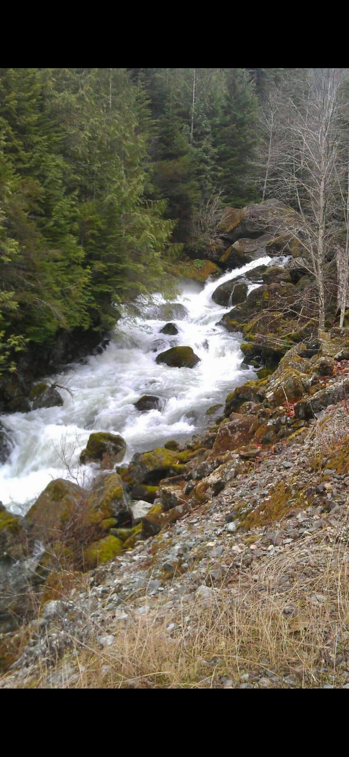 Spirit Offering Ritual